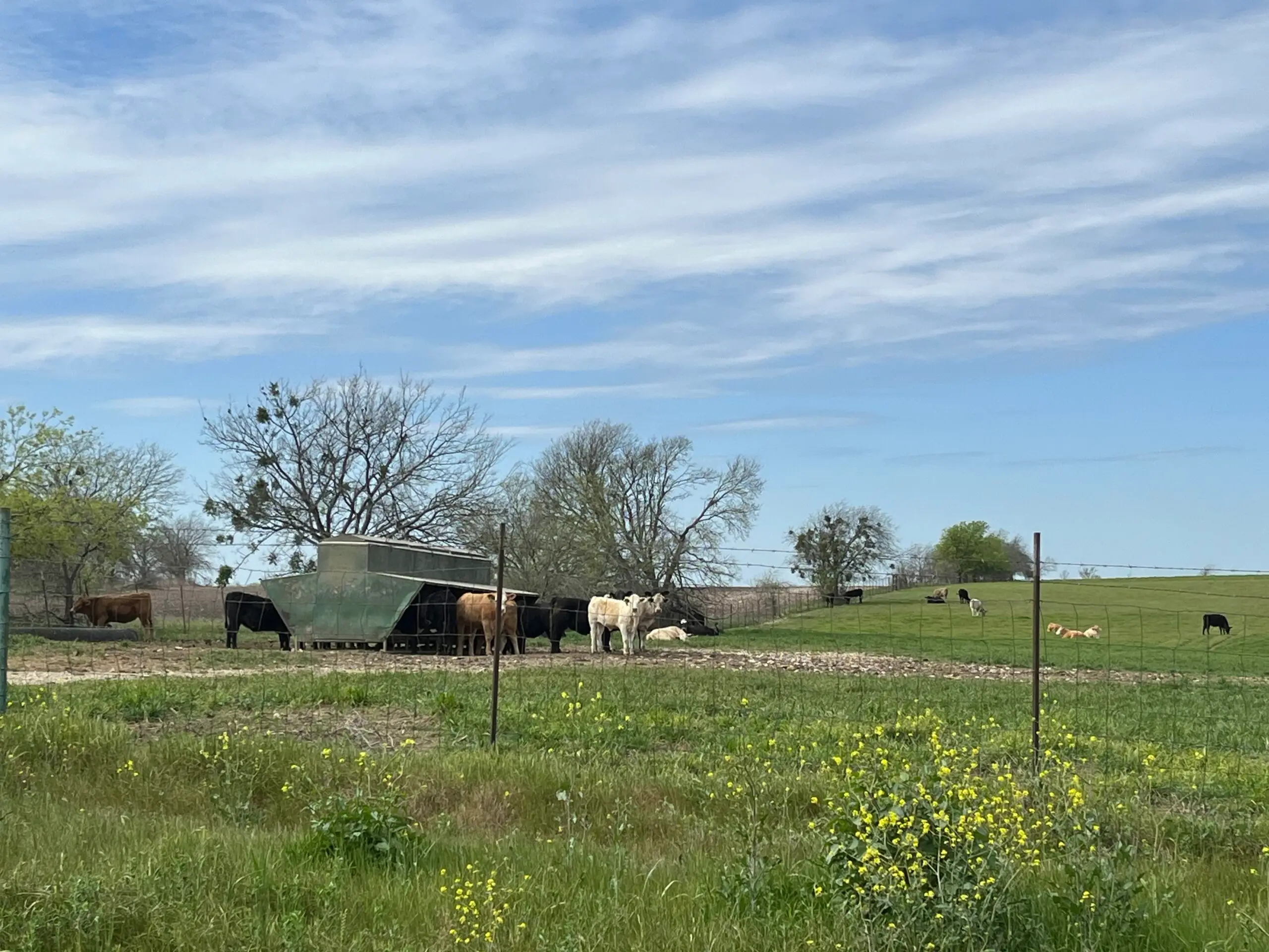 central texas farm and ranch bell county